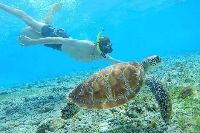 Bali Blue Lagoon Snorkeling with Private Transfer & Lunch - Optional waterfalls: Tibumana and Kanto Lampo without the stress
