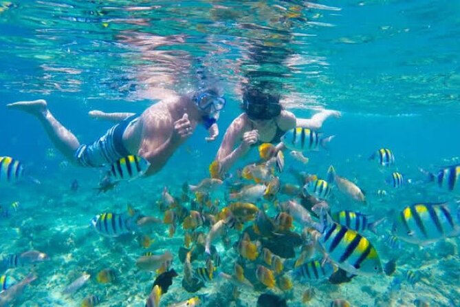 Bali Blue Lagoon Snorkeling with Private Transfer & Lunch - What the 2-hour snorkeling window feels like