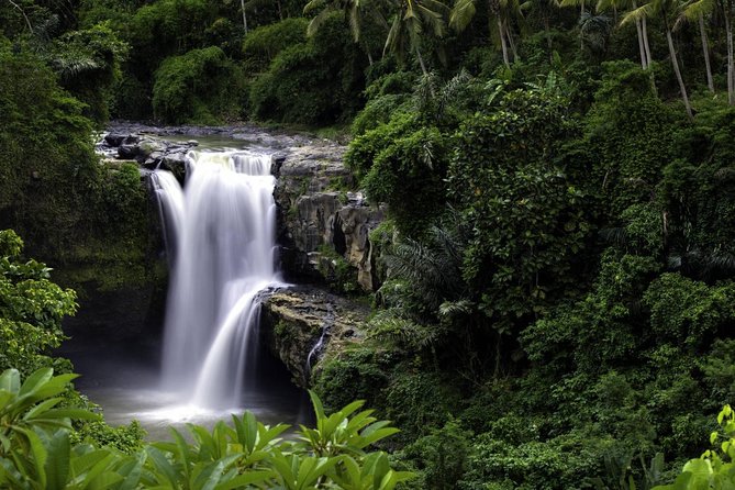 Bali Breathtaking Waterfall Tour (Private & All-Inclusive) - Price and value: what you’re actually paying for