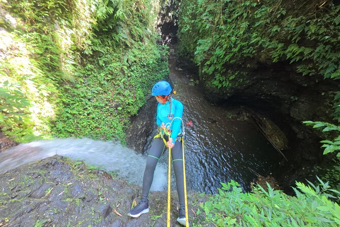 Bali Canyoning Trip – Explore Hidden Waterfalls & Gorges - Bento-Box Adventure: Slides, Jumps, and Trekking Between Water Moments