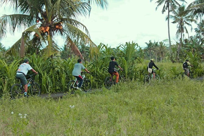 Bali Countryside Eco Cycling Tour include Lunch - Seminyak Pickup to Kemenuh: How you start without fuss