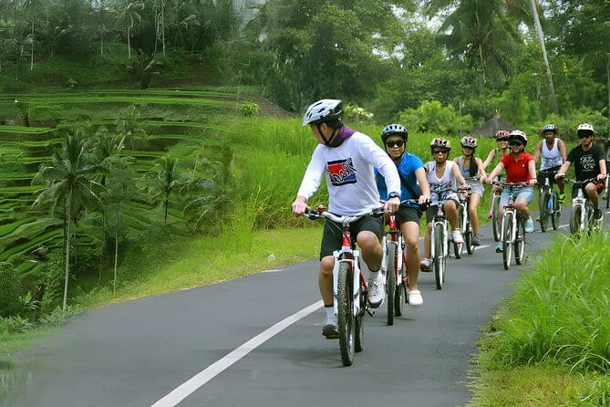 Bali Countryside Eco Cycling Tour include Lunch - Weather, timing, and practical tips for a smooth day