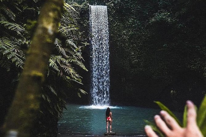 Bali Culture and Choose Your Bali Tour Route in Bali with Bali driver-Free WIFI - Sacred Monkey Forest Sanctuary: rainforest, temples, and cheeky monkeys