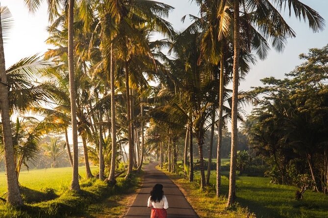 Bali Customized Tour Private Car and Driver - Tegalalang Rice Terrace: one hour that’s all about views