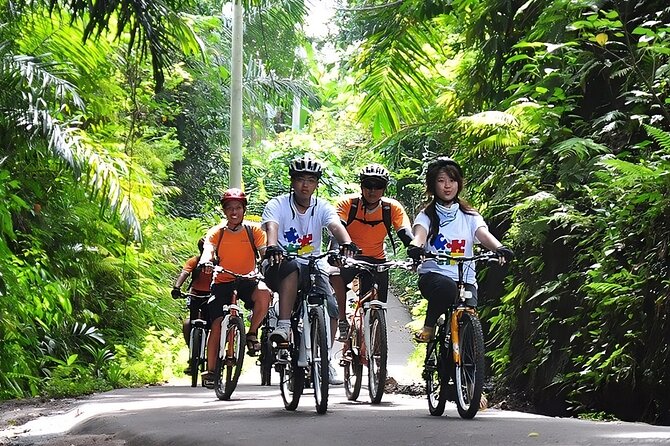 Bali Cycling and Ubud Waterfall Tour - Morning Start in Seminyak: Pickup and a Truly Private Day