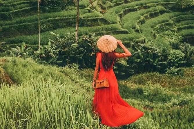 Bali Day Trip to Ubud Highlight Tour and Tanah Lot Temple - Logistics you’ll actually care about: private transport, tickets, and timing