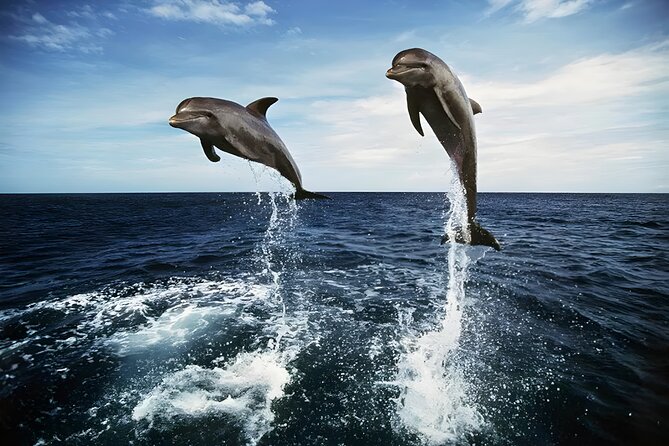 Bali Dolphin Watching Sunrise Tour in Lovina Beach - Boat Time at Lovina: What Sunrise Looks Like and What to Expect