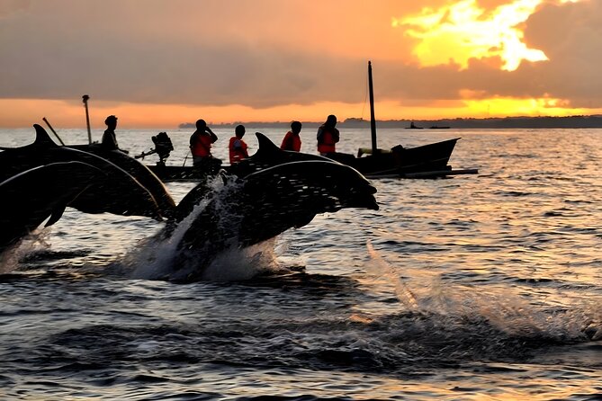 Bali Dolphin Watching Sunrise Tour in Lovina Beach - Price Breakdown: When $80 Feels Like a Deal (and When It Doesn’t)
