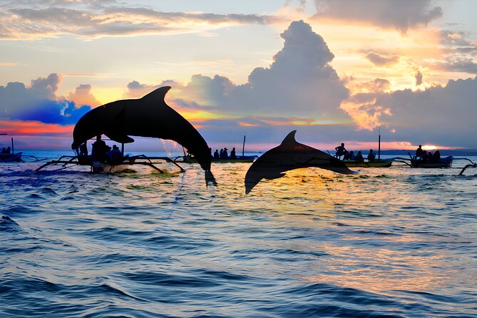 Bali Dolphin Watching Sunrise Tour in Lovina Beach - Tips That Make This Tour Easier: Packing, Timing, and Dolphin-Spotting Patience