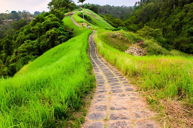Bali Full-Day Car Charter: All About Ubud Village Trip Experience - Goa Gajah (Elephant Cave): the cool archaeological break