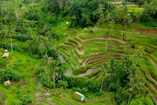 Bali Full-Day Car Charter: All About Ubud Village Trip Experience - Puri Saren Palace: a short, free hit of royal Ubud