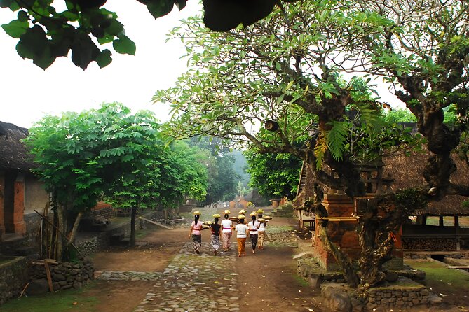 Bali Full-Day Car Charter: The Gates of Heaven Bali Tour - Taman Ujung Sukasada: long bridges, palace symmetry, and lotus ponds