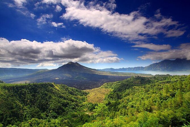 Bali Full-Day Car Charter: Ubud and Kintamani Volcano Trip - Key Things to Know Before You Go