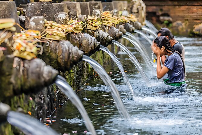 Bali Full-Day Car Charter: Ubud and Kintamani Volcano Trip - Stop 4: Tegalalang Rice Terraces for Ubud’s Farming-Irrigation Story