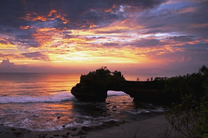Bali Full-Day Private Customize Tour - Tegalalang Rice Terrace: Real Agriculture, Classic Photo Angles