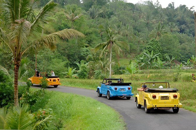 Bali Full-Day The Gate of Heaven Tour by VW Safari Classic Car - Stop 1: Lempuyang Temple and the Gate of Heaven Moment