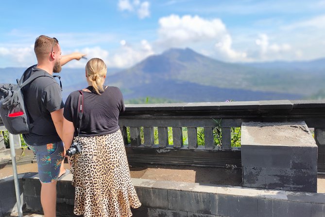Bali Full Day Tour | Individual Route in Bali | Bali Guide | Free Wi-Fi - Price and what it really includes (and what it doesn’t)