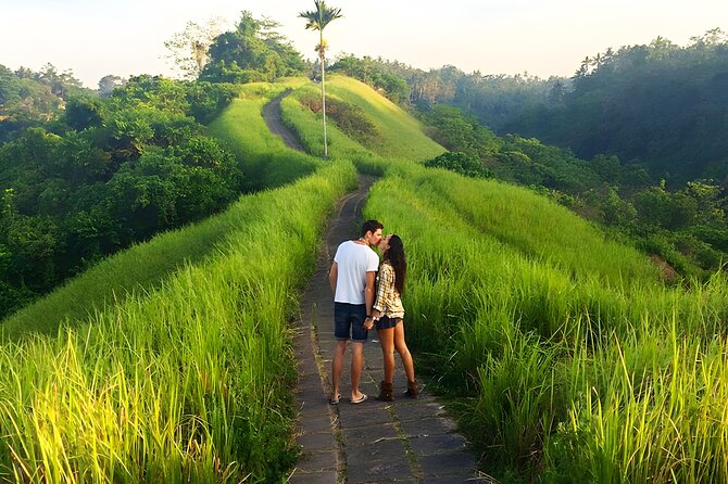 Bali Full Day-Tour: Ubud Sightseeing Trip - Tegalalang Rice Terrace: The One Stop You’ll Remember