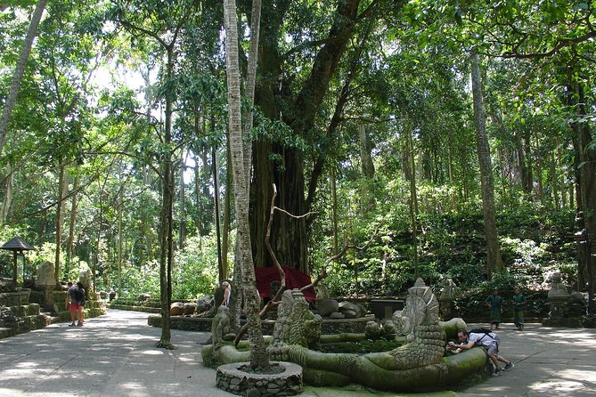 Bali Full-Day Traditional Village Sightseeing Trip All Inclusive - Mount Kawi’s Holy Spring Water and Tegenungan Waterfall Photos
