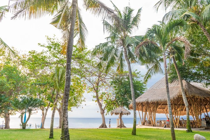 Bali Hai - Nusa Penida Adventure Cruise - Manta Bay Snorkeling: Your First Big Water Moment