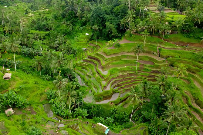 Bali Half-Day Car Charter: Ubud Waterfall Trip for 7 Hours - Tegenungan Waterfall: 20 Meters of Petanu River Sound