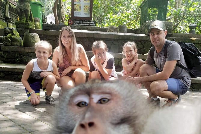 Bali Highlight Private Packages Tours 3 Days - The feel of a private driver-led Bali: comfort, timing, and “VIP” handling