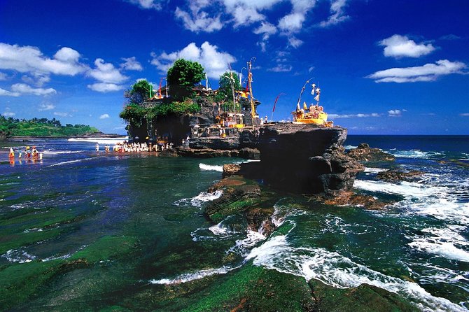 Bali Highlight Tours - Stop 2: Sangeh Monkey Forest—rainforest temples and friendly chaos