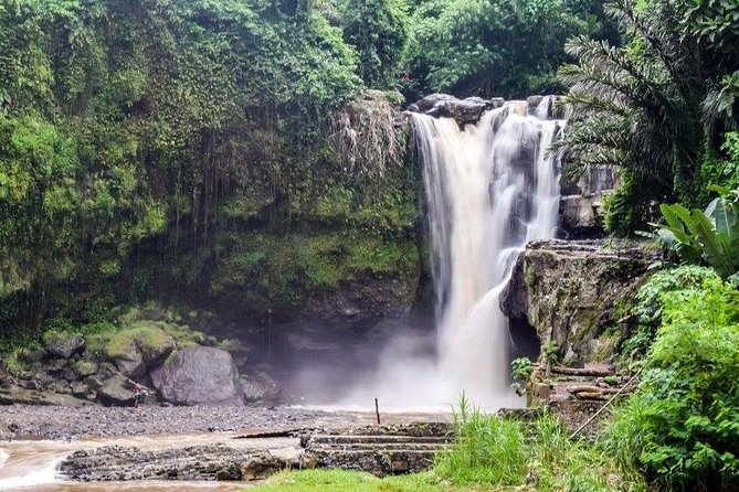 Bali Highlight Tours - Stop 3: Jatiluwih Green Land—rice terraces that reward a slower pace