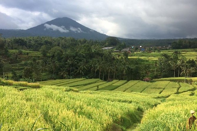 Bali Highlight Tours - How to make the day run smoothly (without overplanning)