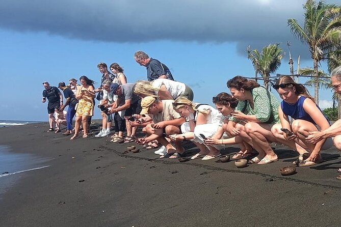 Bali Horse Riding and Turtle Release at Saba Beach - A full-day nature-and-action plan in Seminyak