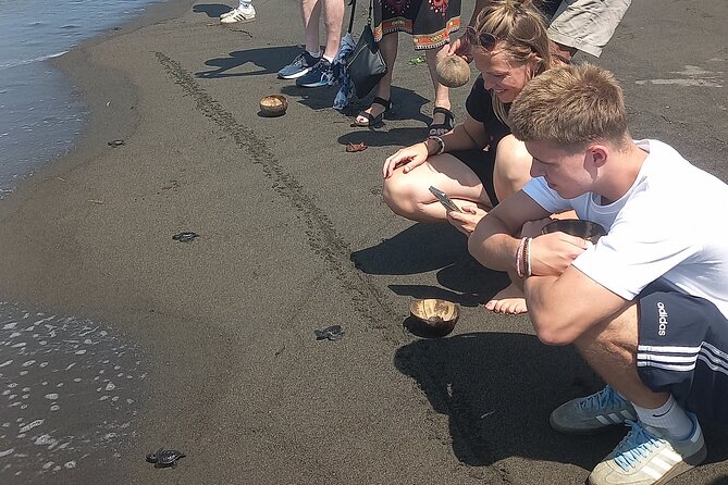 Bali Horse Riding and Turtle Release at Saba Beach - Stop 3: Lunch at Bebek Uma Menuh Restaurant (food that keeps the day moving)