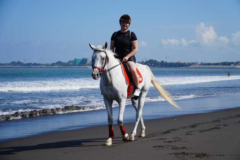 Bali: Horse Riding Experience in Sanur (1 Hour ride) - Timing, Small Groups, and How to Plan Your Day