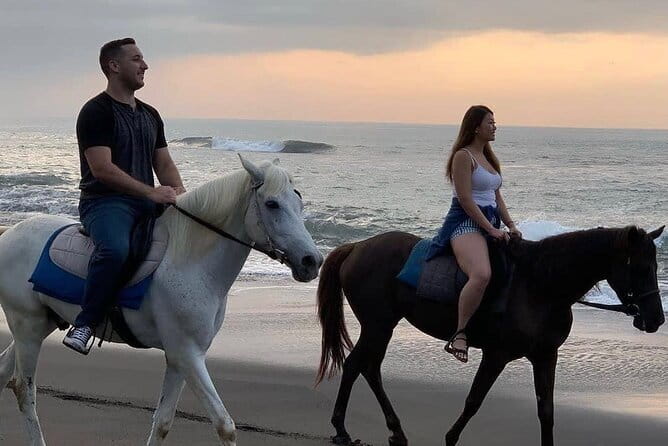 Bali Horse Riding Seminyak Beach Experience Private Transport - Key highlights worth your time