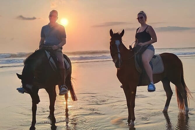 Bali Horse Riding Seminyak Beach Experience Private Transport - Seminyak Beach on horseback: the real vibe behind the 1-hour ride