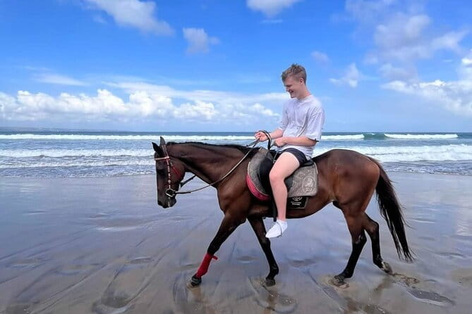Bali Horse Riding Seminyak Beach Experience Private Transport - Price and value: is $39.80 per person worth it?