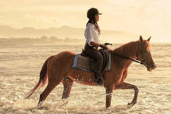 Bali Horse Riding, Waterfall, Rice Terrace, Lunch - All Inclusive - Key things to know before you go