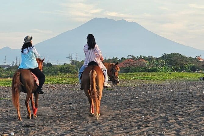 Bali Horse Riding, Waterfall, Rice Terrace, Lunch - All Inclusive - From Seminyak Pickup to Saba Bay Stables: how the day starts