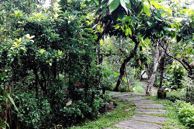 Bali in 1-Day : Rice Terrace, Volcano, Tanah lot - All Inclusive - Private Bali, set up for minimal hassle