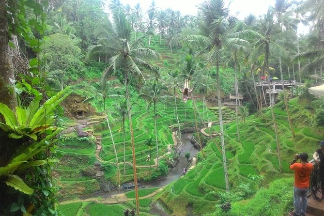 Bali in 1-Day : Rice Terrace, Volcano, Tanah lot - All Inclusive - Kintamani Highland and Lake Batur lunch: the volcano view payoff