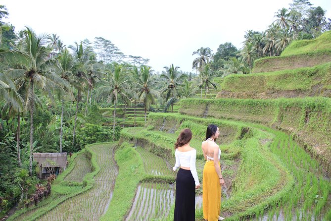 Bali Instagram Most Iconic Spots Private Tour - Tirta Gangga Water Palace: quiet water gardens with strong photo potential