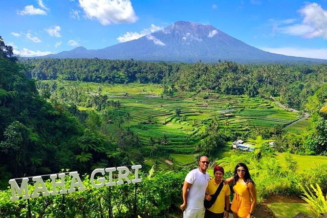 Bali Instagram Tour: The Most Scenic Spots - Tegalalang Rice Terraces: UNESCO vibes and swing options