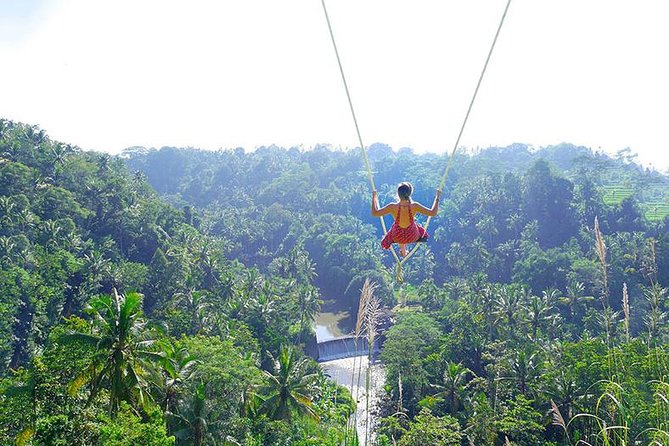 Bali Jungle Swing and White Water Rafting All Inclusive - Key highlights worth caring about