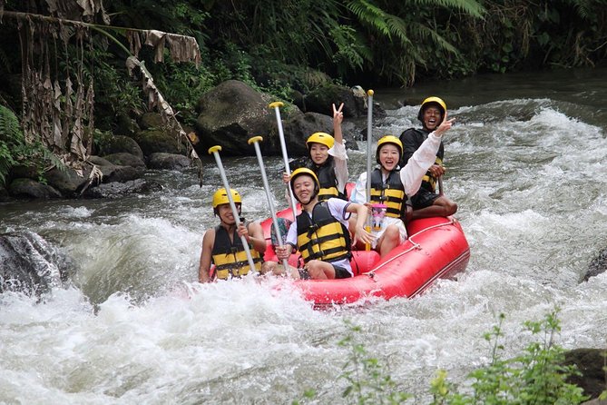 Bali Jungle Swing and White Water Rafting All Inclusive - Should you book this Bali jungle swing and rafting combo?