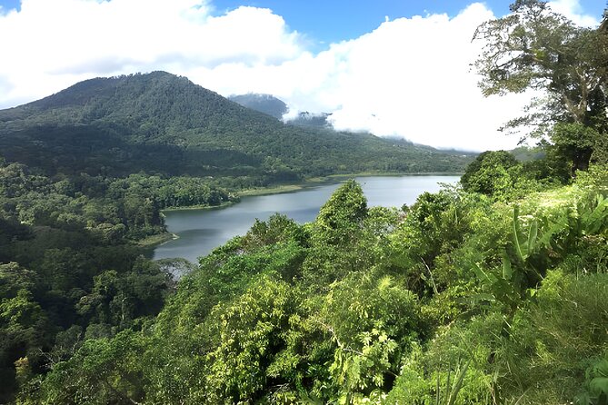 Bali Jungle Trekking in Beautiful Rainforest - Private Jungle Trek in Bali: what you’re really booking