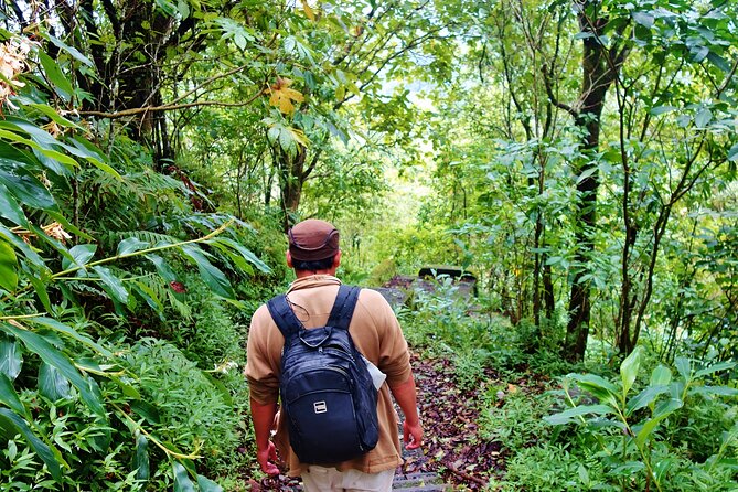 Bali Jungle Trekking in Beautiful Rainforest - Dugout canoe on the lake: the cool-down you’ll remember