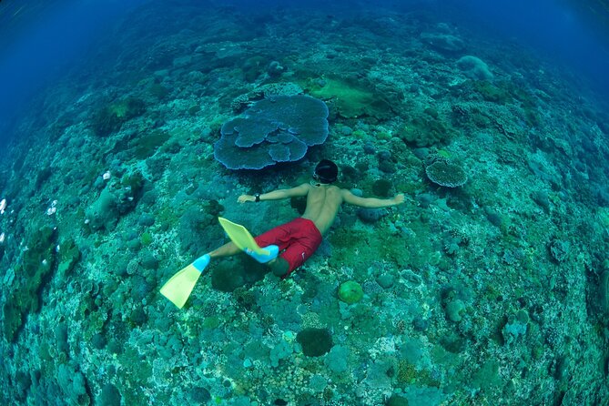Bali Lembongan Island Beach Club Day Trip - Lembongan village excursion: short culture stop or time that needs a little more?