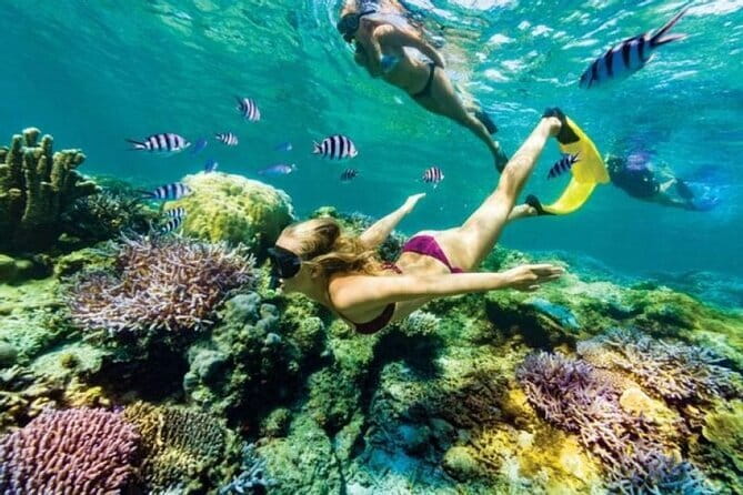 Bali Lempuyang Temple with Blue Lagoon Snorkeling - Blue Lagoon snorkeling from a boat: calm water, real sea life