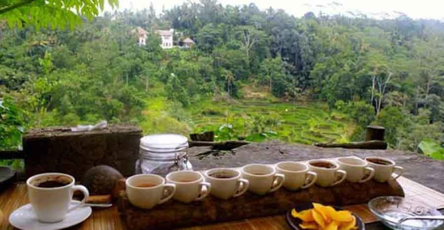 Bali: Local Village and School Tour with Lunch - Offerings, holy water, sacred bracelets, and temple storytelling
