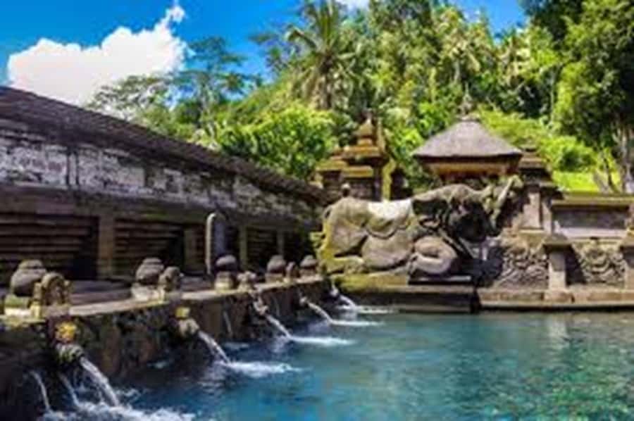 Bali: Local Village and School Tour with Lunch - Rice field work and village steps: hands-on Balinese daily life