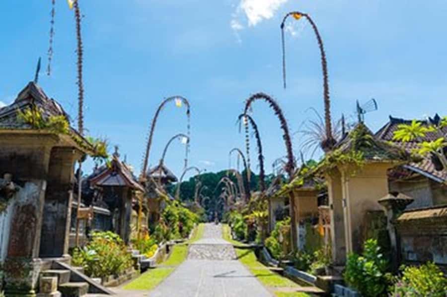 Bali: Local Village and School Tour with Lunch - Morning pickups and the first 30 minutes at the visitor center